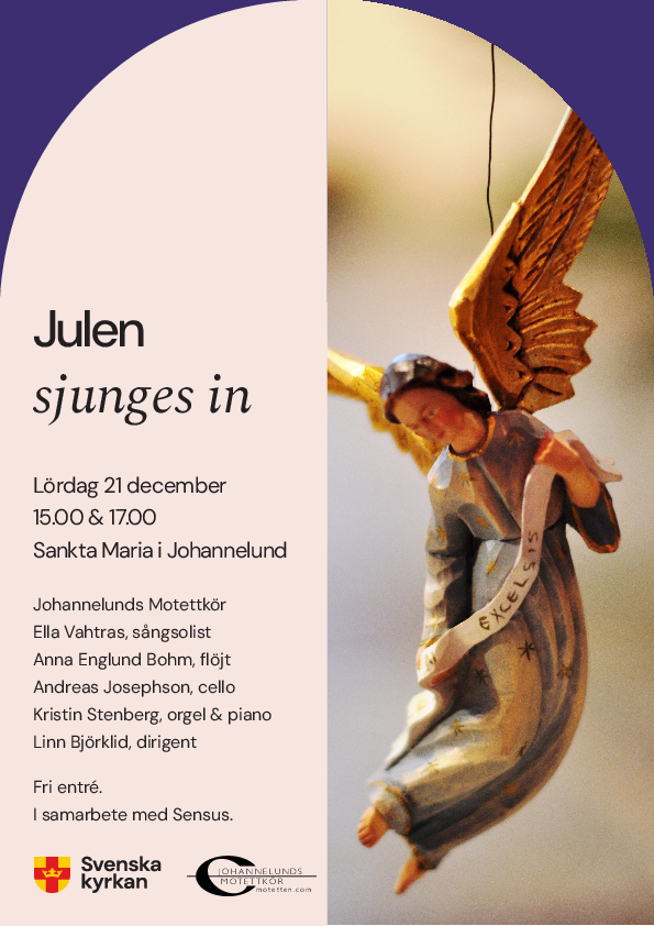 /static/images/affischer/241221-julen-sjunges-in.png