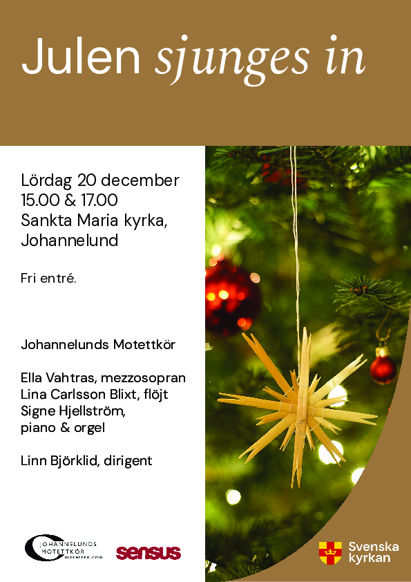 /static/images/affischer/251220-julen_sjunges_in.png